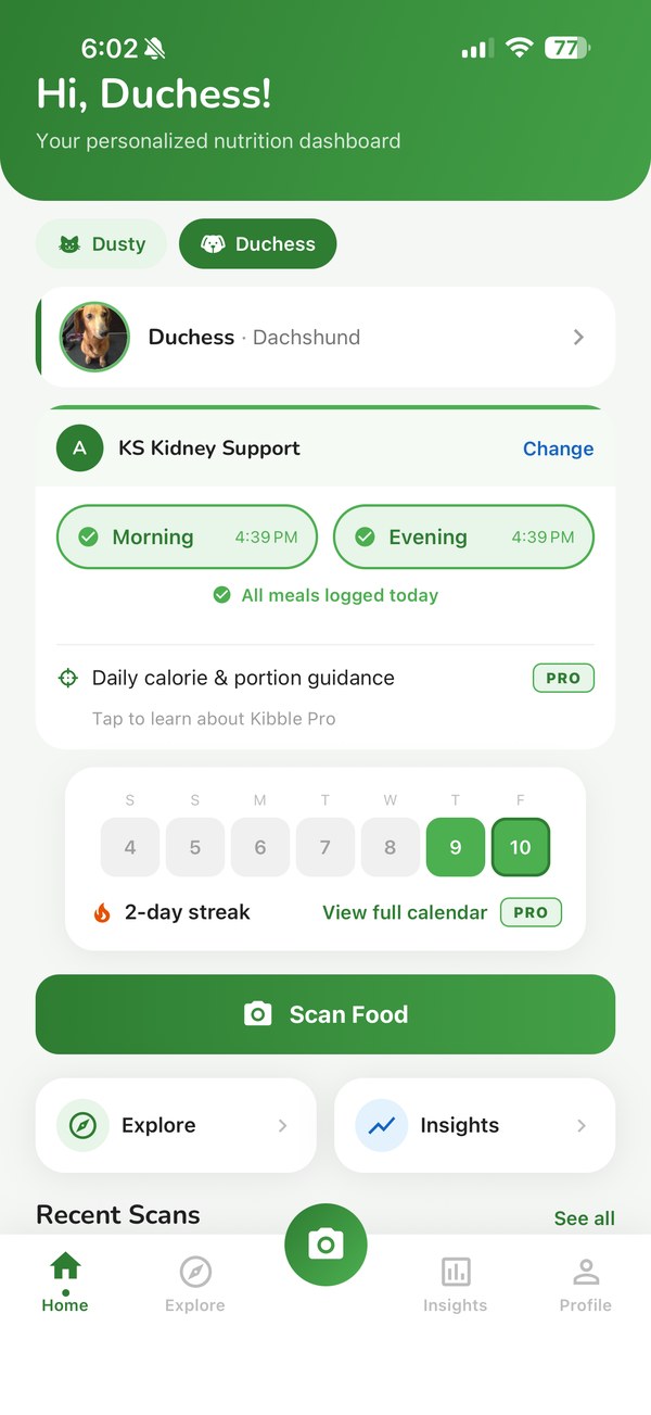 Kibble's home screen with logged meals and a feeding streak