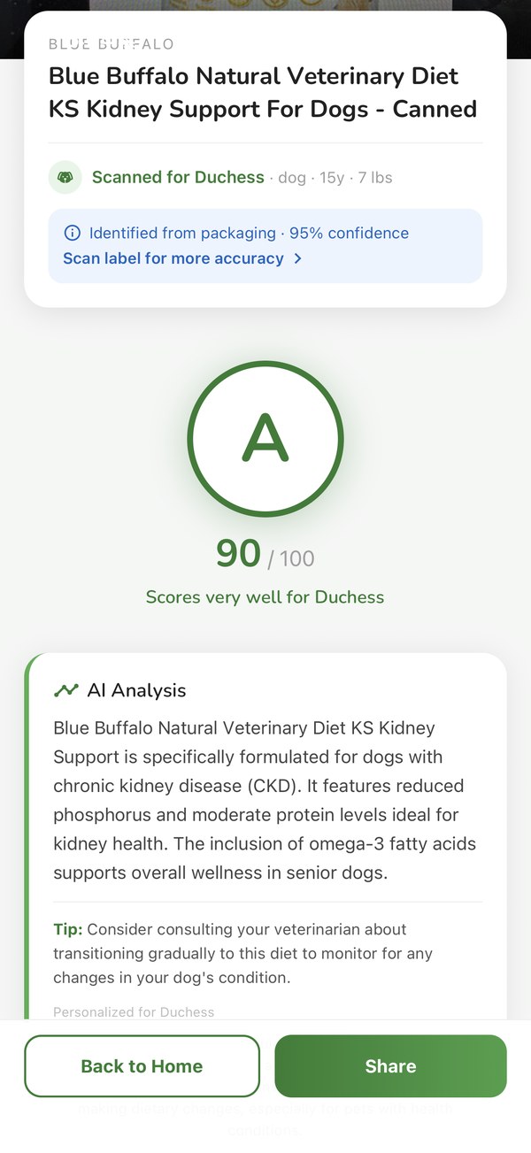 A scan result showing grade A, 90 out of 100